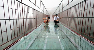 Прозрачный подвесной мост в Китае