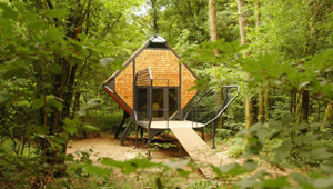 Le Nichoir – уютное птичье гнездо посреди леса