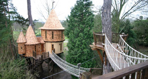 Британская семья живет в двух домиках на деревьях